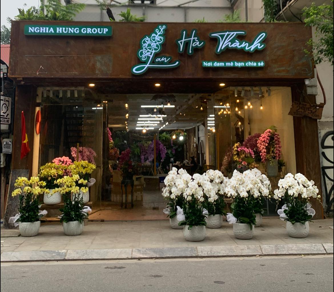 Lan Hà Thành đơn vị cung cấp lan uy tín tại Hà Nội